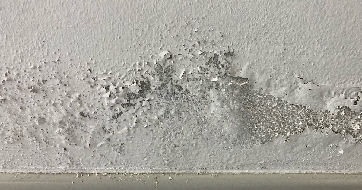 Étanchéité des murs extérieurs