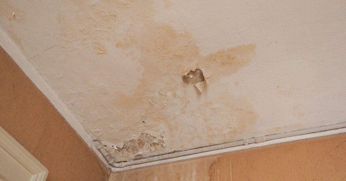 L'entretien de votre maison au Havre