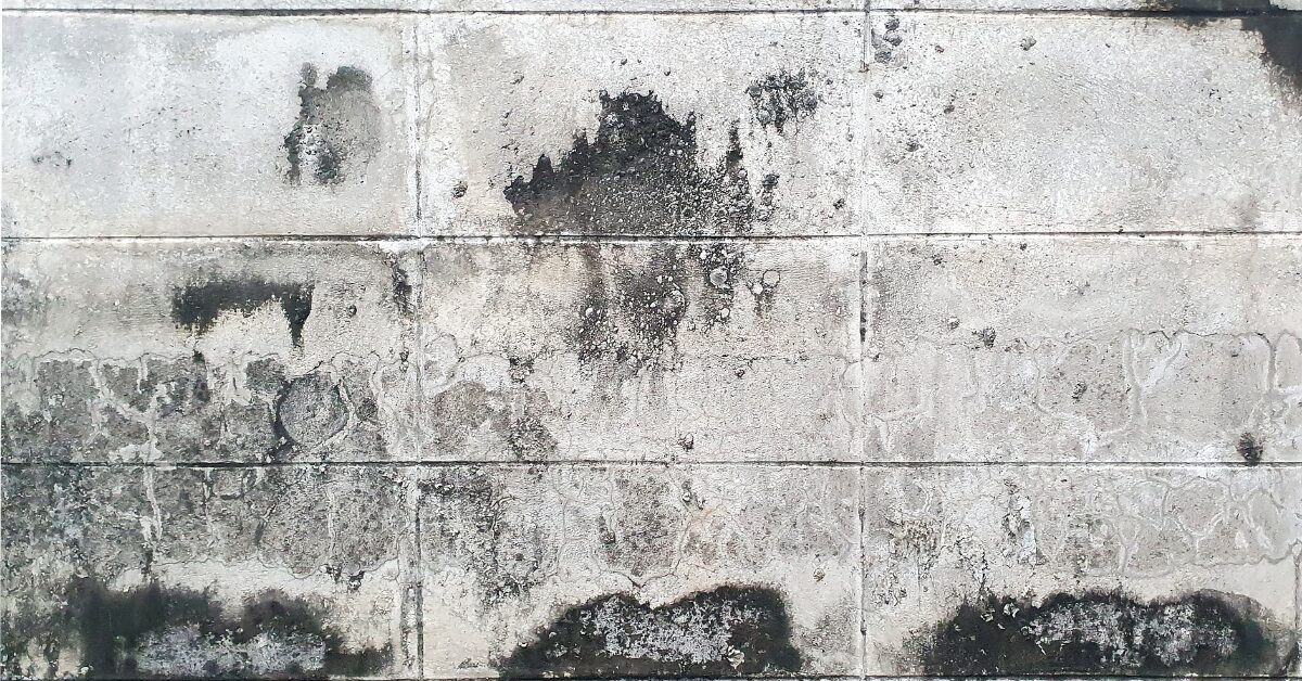 Rénover un mur ancien